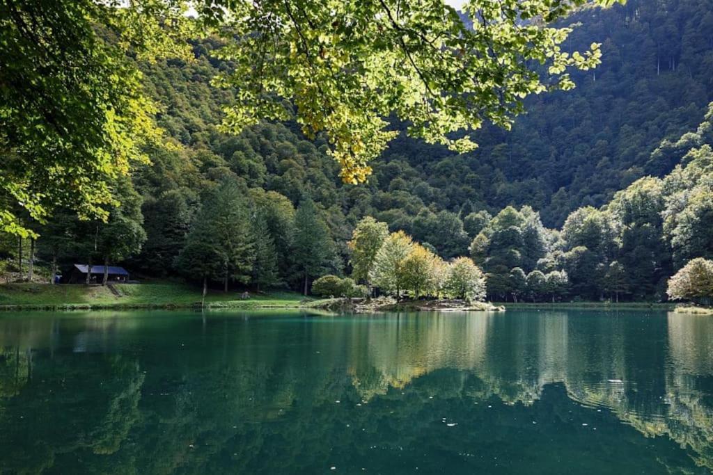 La Petite Maison Du Hetre Brassac  Dış mekan fotoğraf